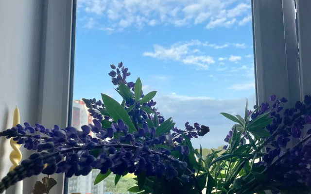 Апартаменты Eco Лес