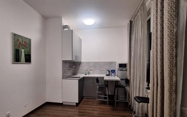 Апартаменты Уютная Студия у Метро