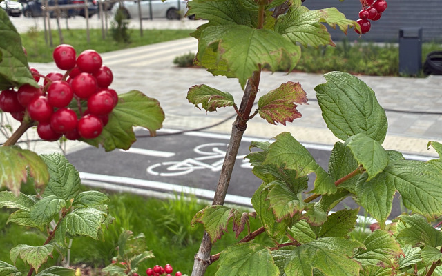 Квартира Исеть Парк Маяковского