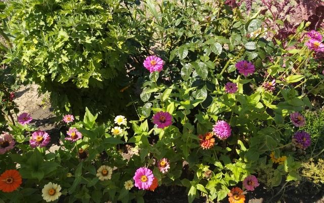 Ariadna Guest House