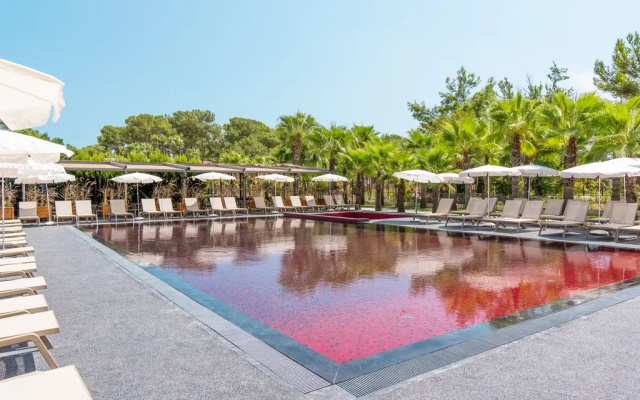 Golden Sun (Adult Only 12+)