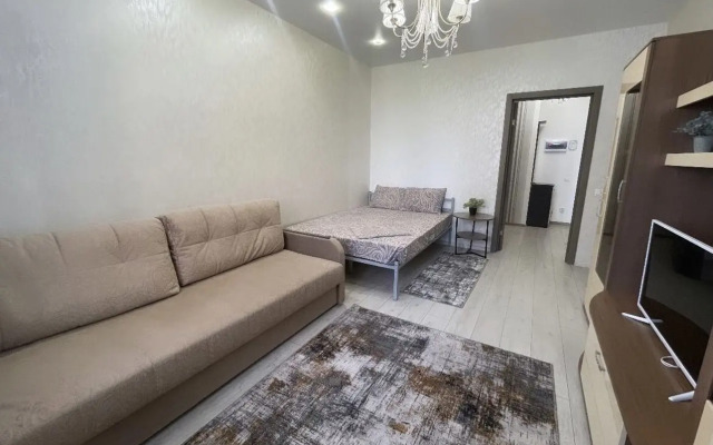 1-Komnatnaya Ryadom S Platonovckim Parkom Flat