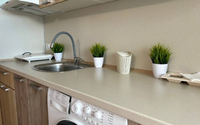 Апартаменты BestHome Двухкомнатная квартира Golden Sunshine на Волге