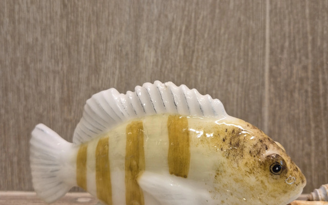 Квартира дизайнерская тайна моря