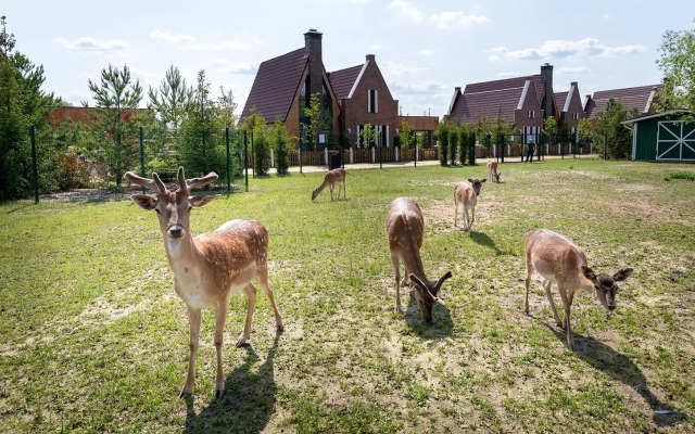 Гостевой дом Арт-парк Гармонд