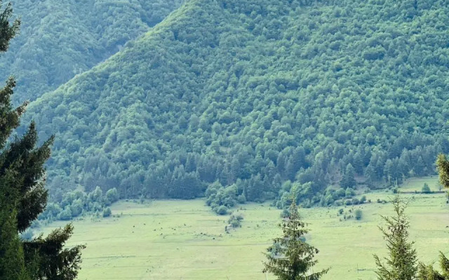 Hotel Shgedi Mestia