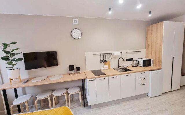 Квартира на бульваре Радищева 29