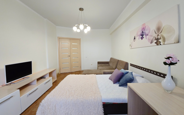 Zaselyajsya Flat