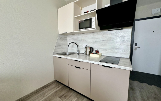 Spb Apartaments 12