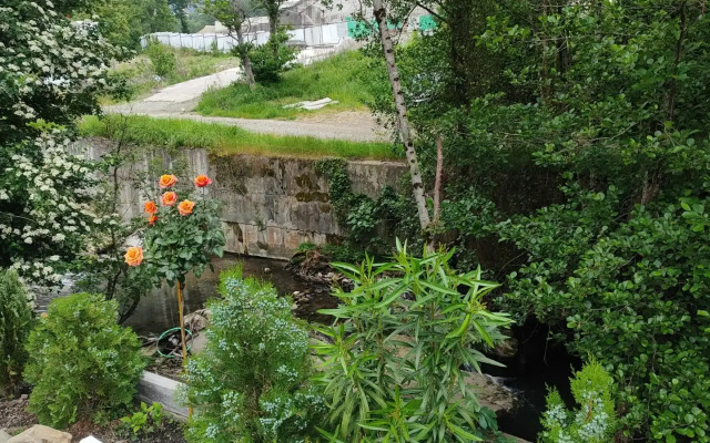 Delfin Guest house
