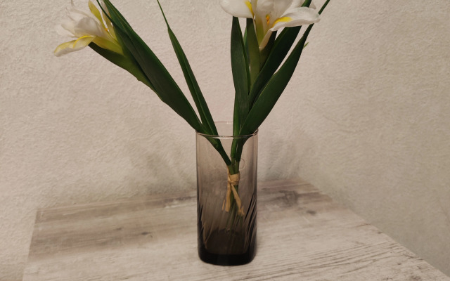 Квартира уютная в Советском районе Как дома