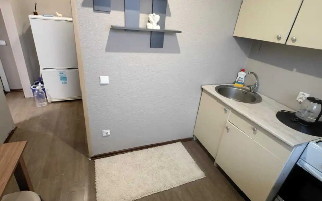 Na Bolshoy Sankt-Peterburgskoy 106/5 Flat
