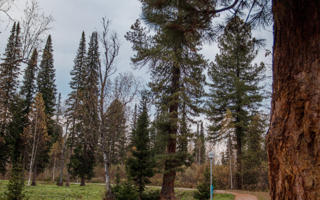 База отдыха Озерки