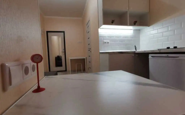 Apartments Studiya Standartnaya V Saburovo