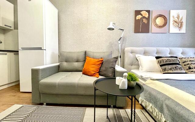 Garmoniya V Tsentre Goroda Apartments