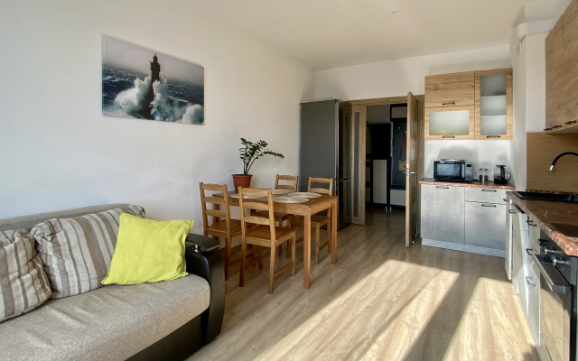 Inroomspb Na Yevgeniya Shvartsa 11 Flat