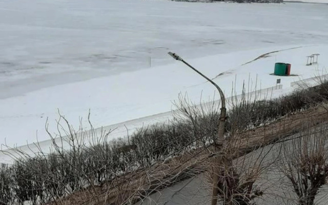 Квартира на Лесной улице, 25