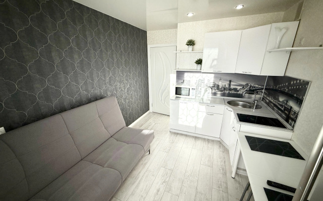 Квартира Белинского 137