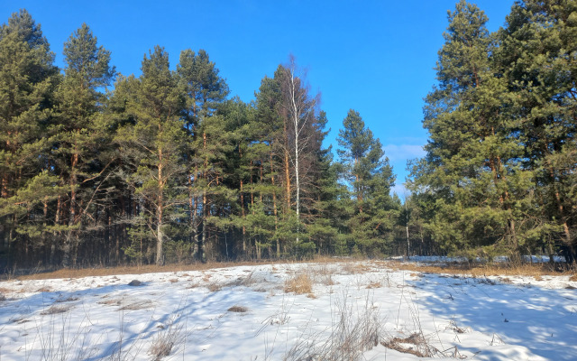 Частный Лесной дом Речная Заимка