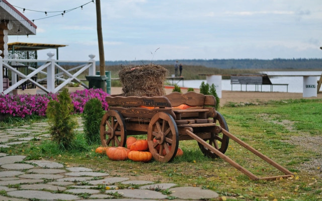 Гостевой дом Дикий Гусь