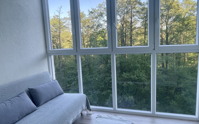 Dvuhkomnatnie S Vidom Na Kurshskuiu Kosu Apartments