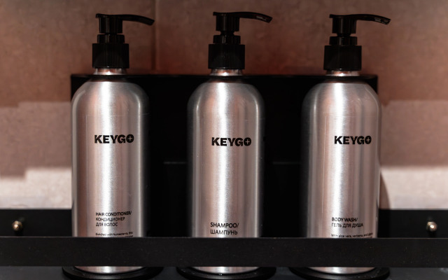 Апартаменты KeyGo #1078 Ключ к Центру Москвы