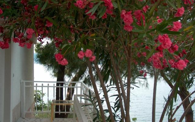 Blanka Guest House