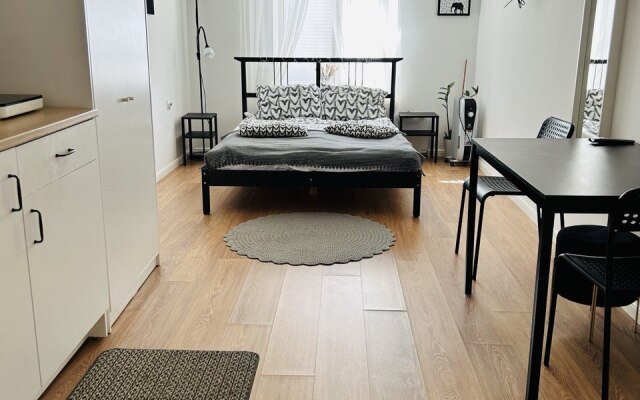 Апартаменты Большие на Черняховского