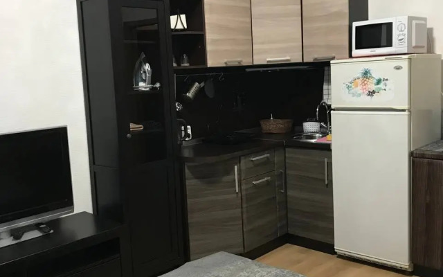 Квартира студия Живи в Песочном на Садовой 83