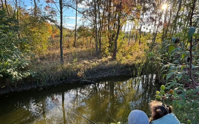 Частный дом Домик у леса