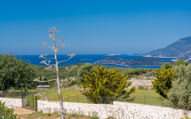 Lacitrus Villa Hotel