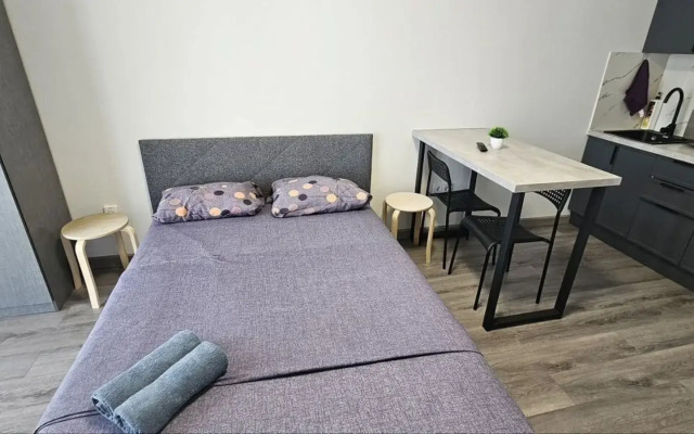 Квартира студия на бульваре Космонавтов 12/1