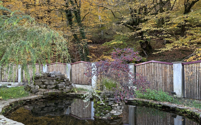 Гостевой дом на реке Псахо