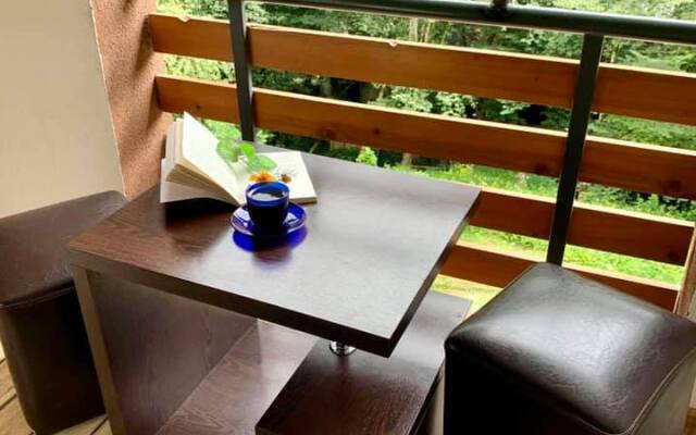 Apartment Sairme Hotel