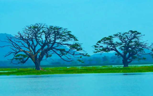 Rain Tree by Oak Ray Hotel