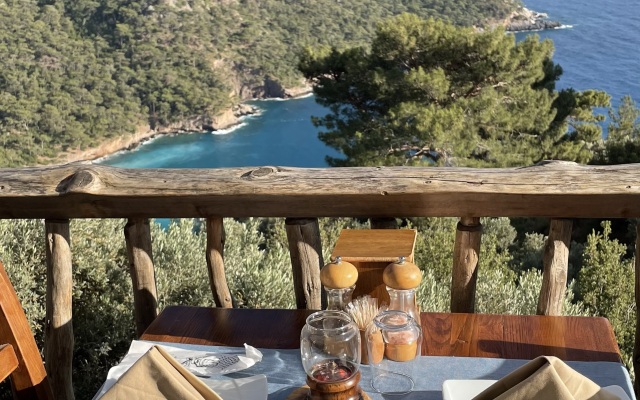 Olive Garden Kabak Villa