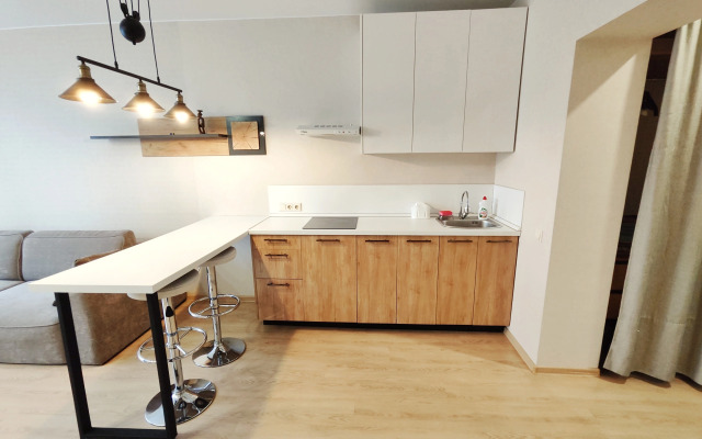Prostornaya Studiya V Tsentre Goroda Flat