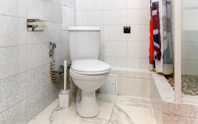 V Novom Dome Selmash Flat