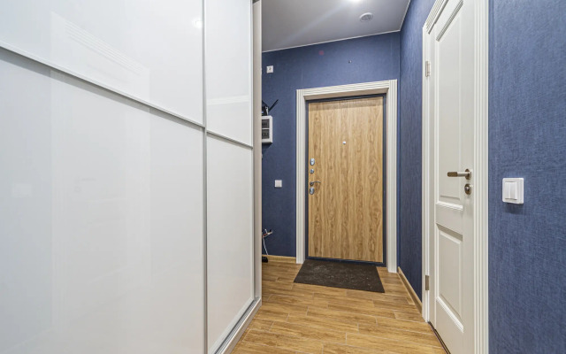 Studiya U M. Pionerskaya Tsentr Im. Almazova Flat
