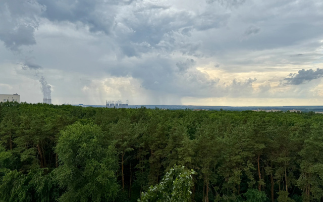 Квартира Уютная с видом на городской парк