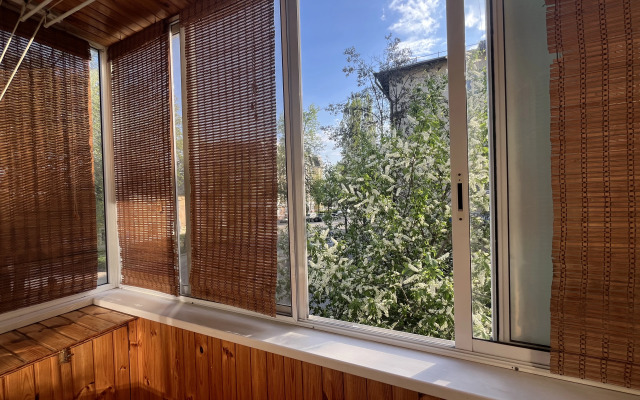 Uyutnaya v tsentre goroda Flat