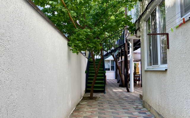 Green Wall Guest house