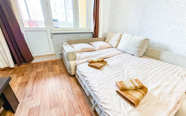 Uyutnaya Kvartira Vozle Sheremetyevo Apartments