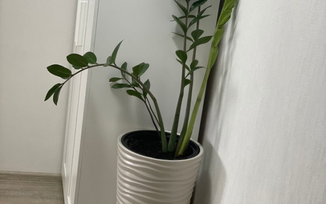 Апартаменты на Симонова 2