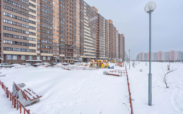 Uyutnaya V Samom Serdtse Murino Flat