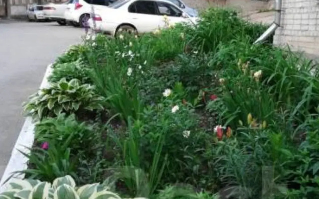 Квартира на Пограничной 21