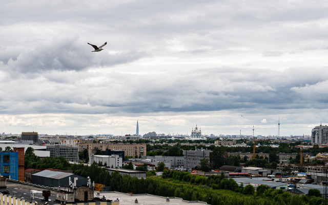 Ladozhsky Avenir Apartments