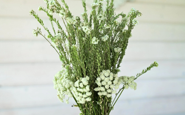 Шале Белый Прованс