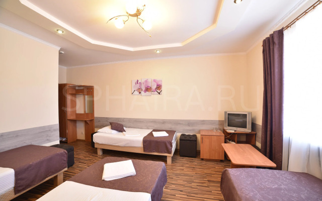 Frant Hotel Zamok