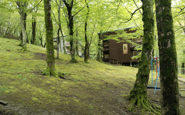Recreation camp Olimp